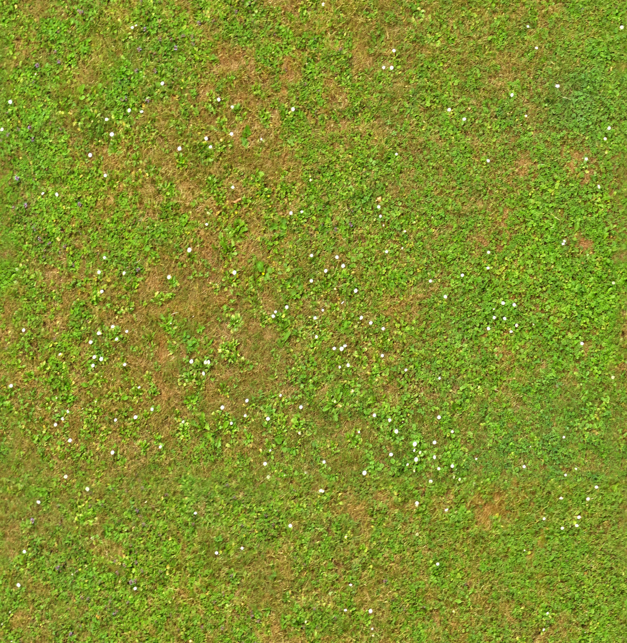 A seamless grass texture for use in architectural drawings and 3D models