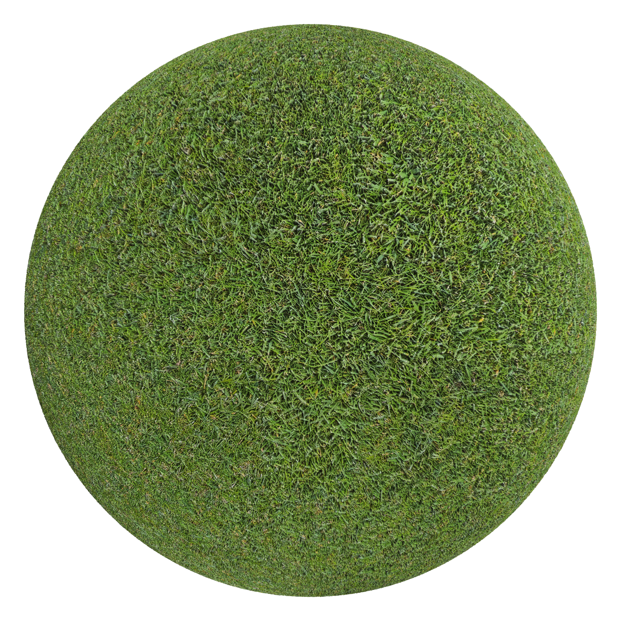 3D sphere preview of Grass seamless texture