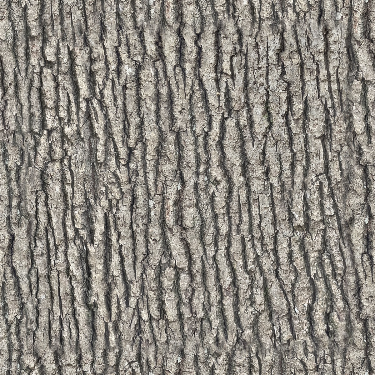A seamless organic texture with tree bark units arranged in a None pattern