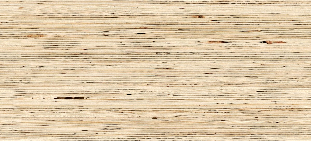 Laminated Veneer Lumber (LVL) End Grain — Architextures, 44% OFF