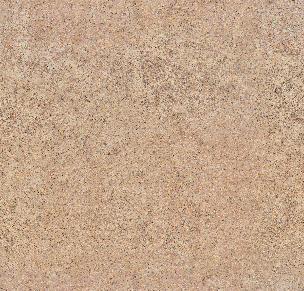 A seamless surfaces texture with coffee waste surface units arranged in a None pattern
