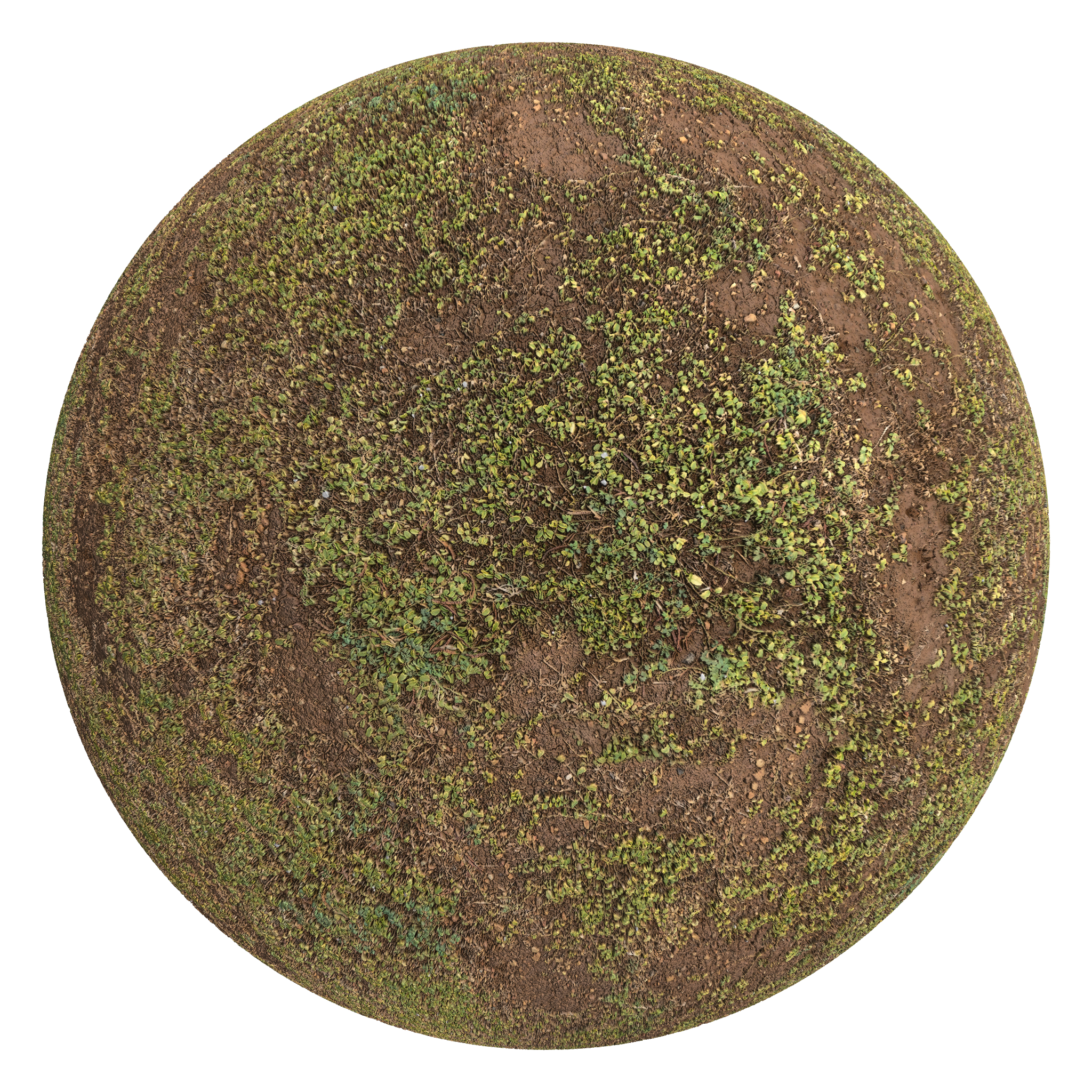 3D sphere preview of Earth with Foliage seamless texture