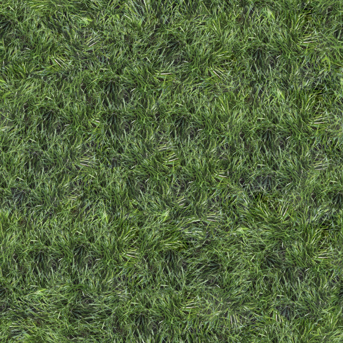 A seamless organic texture with mondo grass units arranged in a None pattern