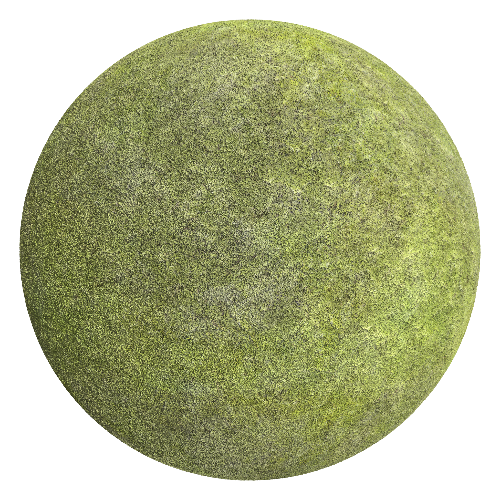 3D sphere preview of Moss seamless texture
