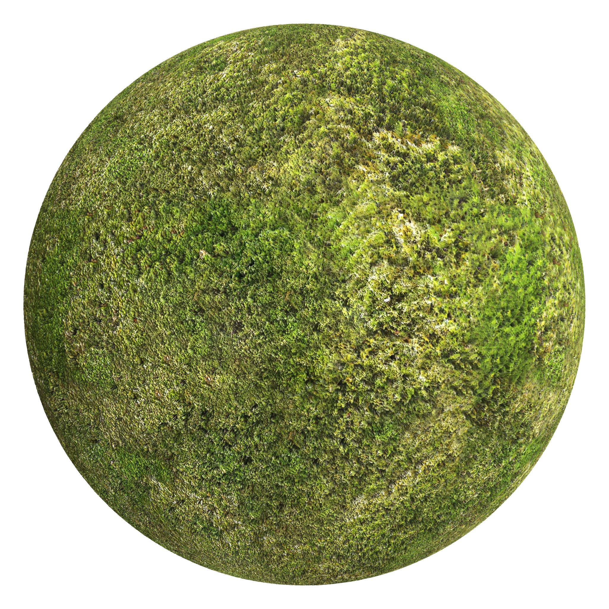 3D sphere preview of Moss seamless texture