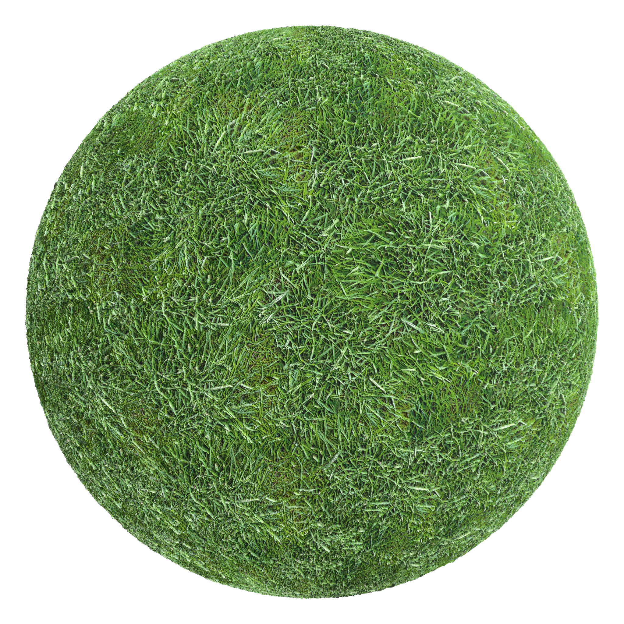 3D sphere preview of Perennial Ryegrass seamless texture