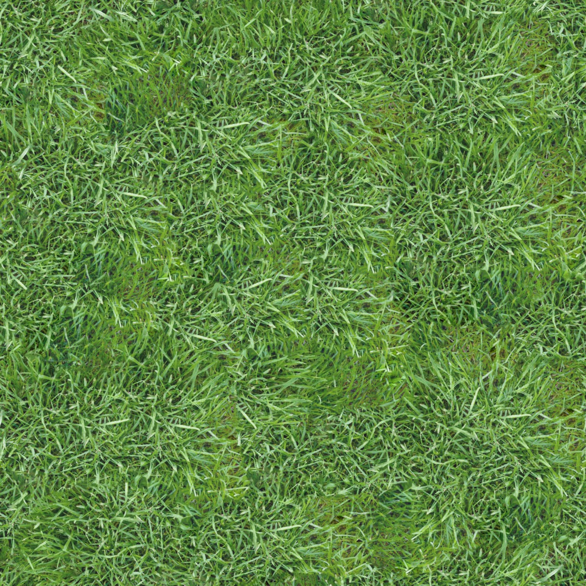 A seamless organic texture with perennial ryegrass units arranged in a None pattern