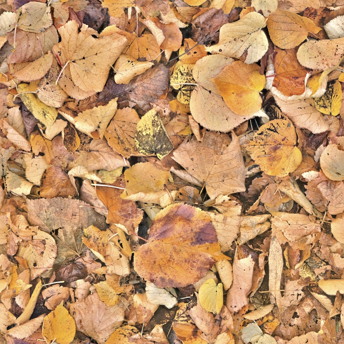 A seamless organic texture with autumn leaves units arranged in a None pattern