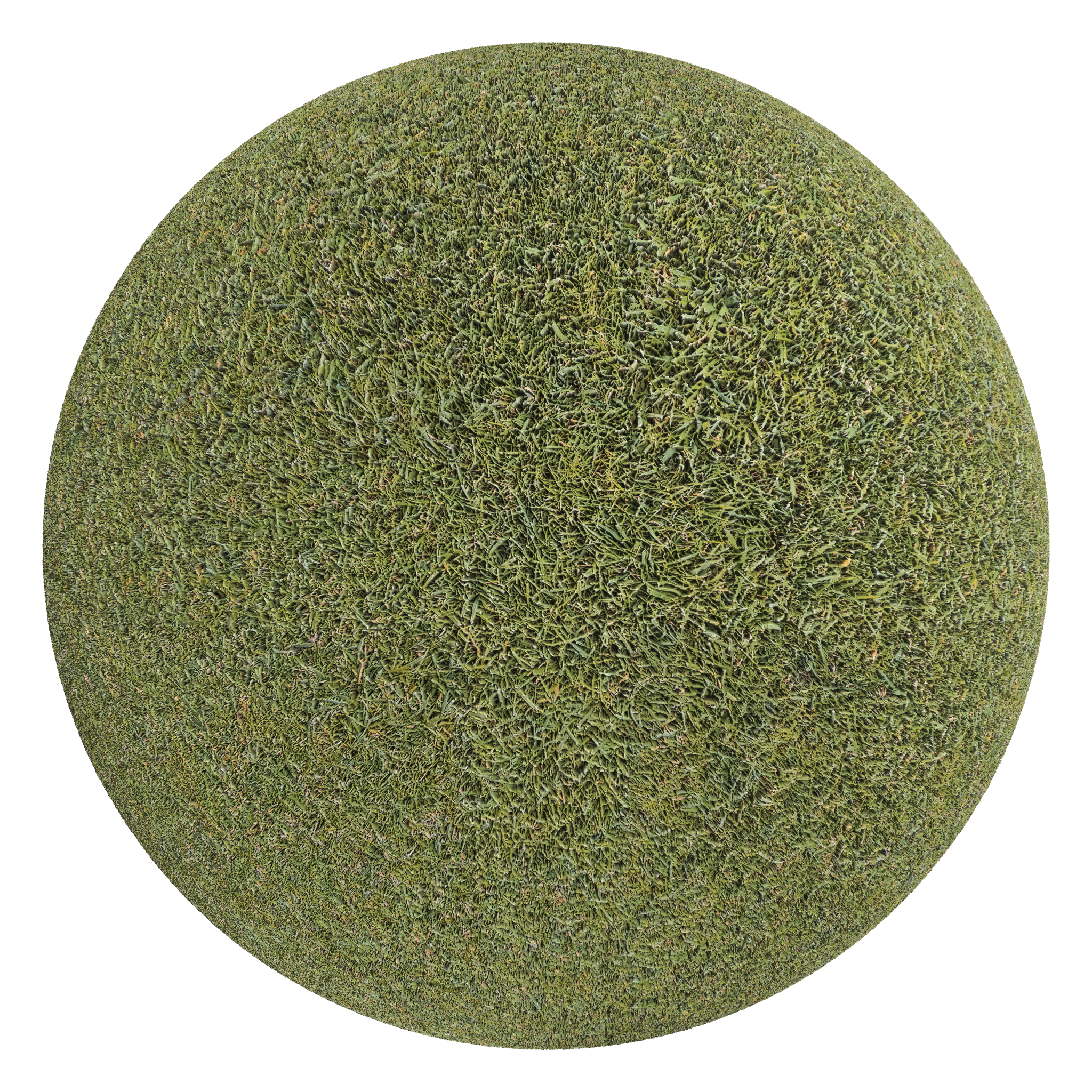 3D sphere preview of Grass seamless texture