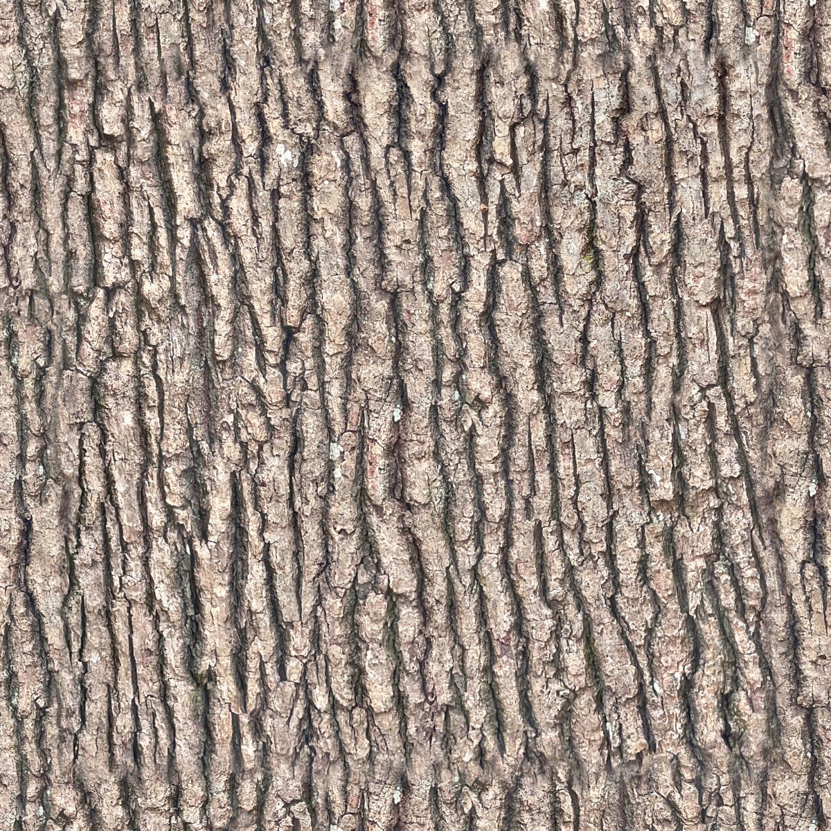 A seamless organic texture with tree bark units arranged in a None pattern