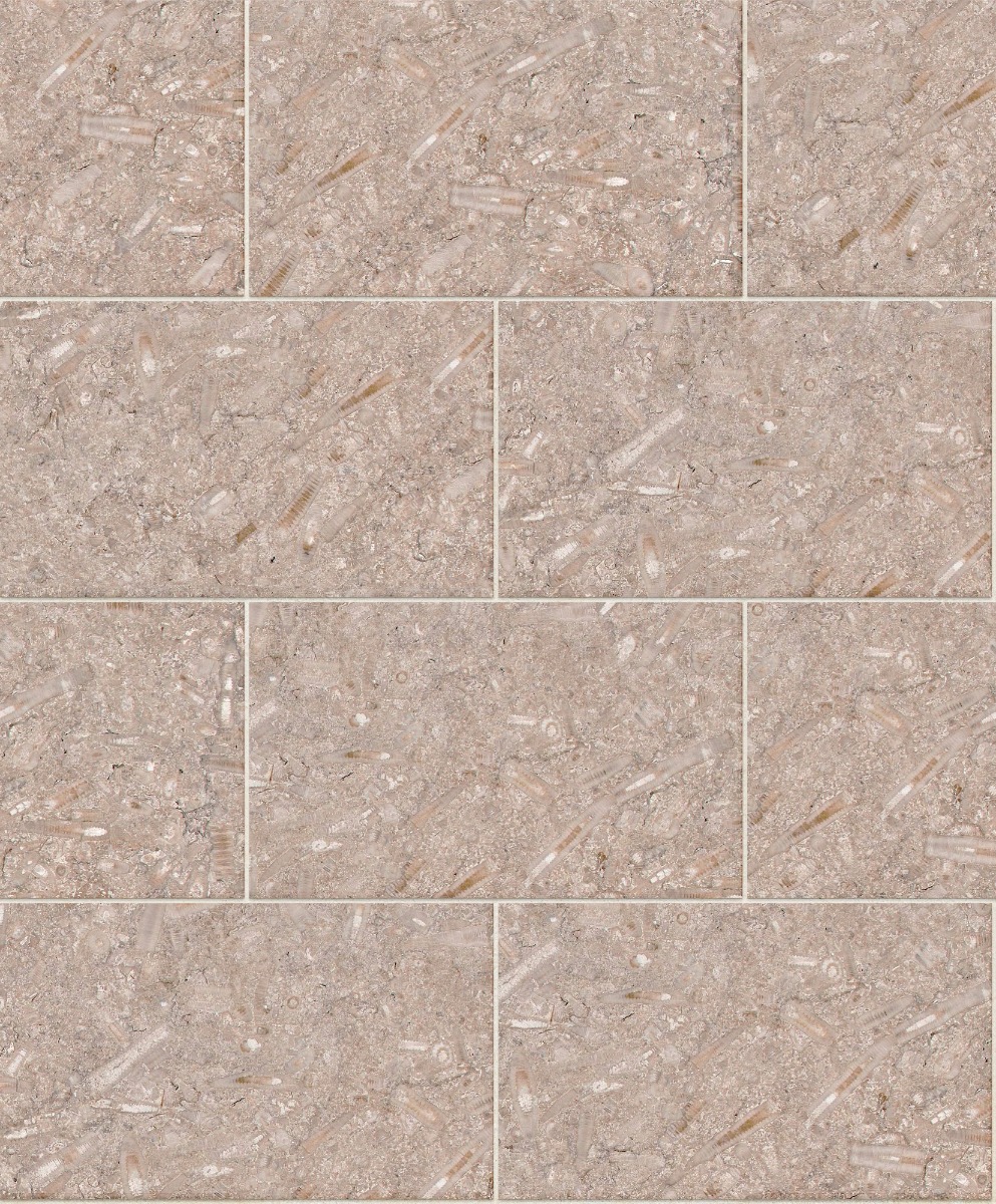 A seamless stone texture with swaledale fossil blocks arranged in a Stretcher pattern