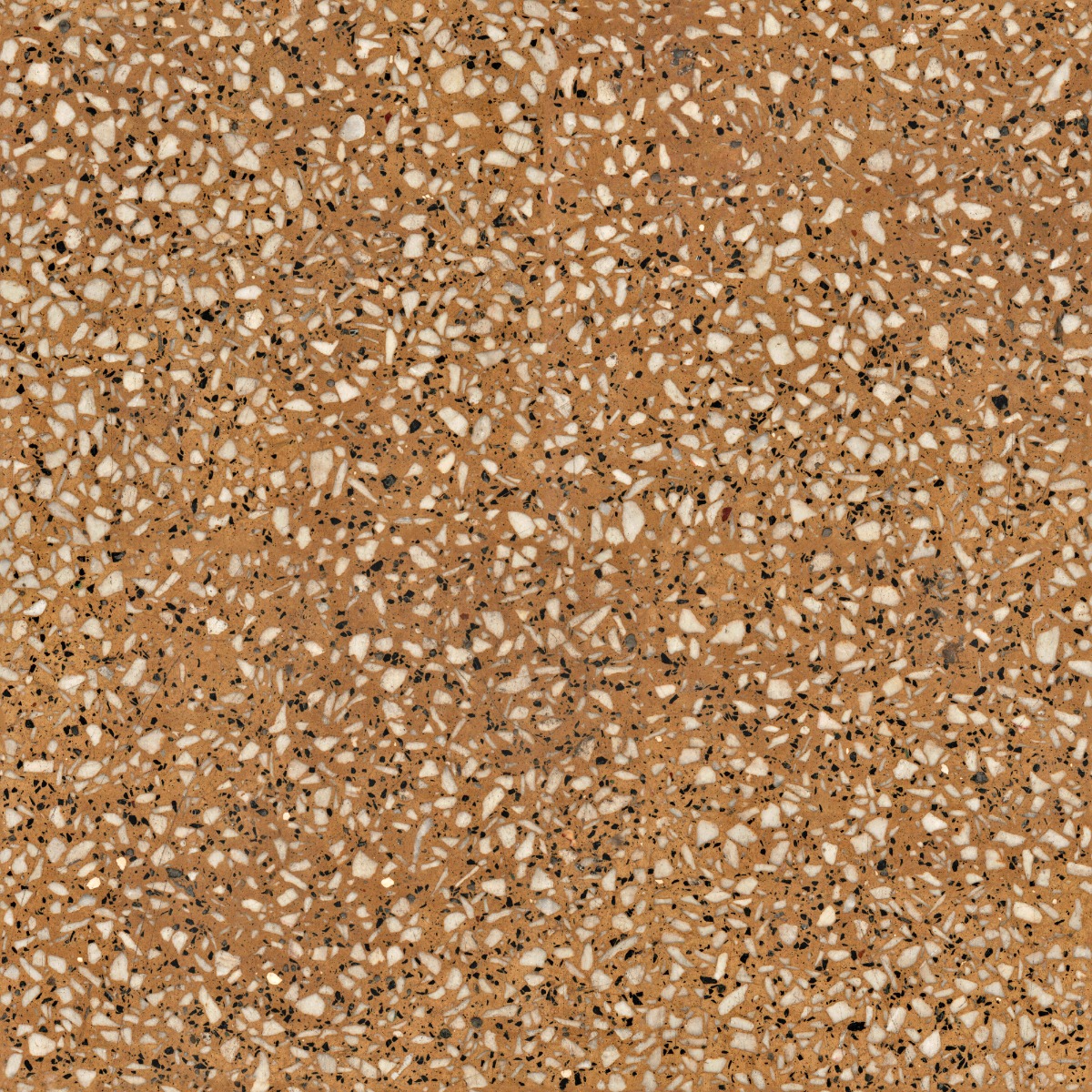 A seamless terrazzo texture with sahara terrazzo units arranged in a None pattern