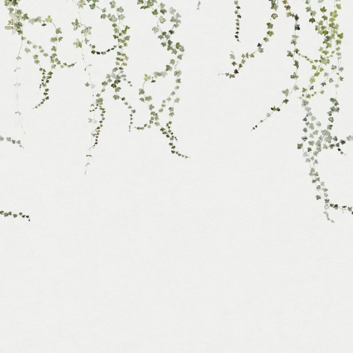 A seamless wallpaper texture with aralia, moss green units arranged in a None pattern