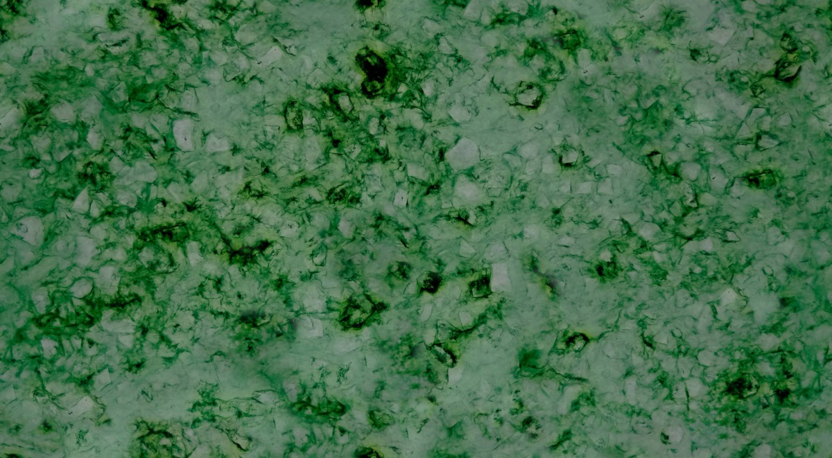 A seamless surfaces texture with remade brut - green units arranged in a None pattern