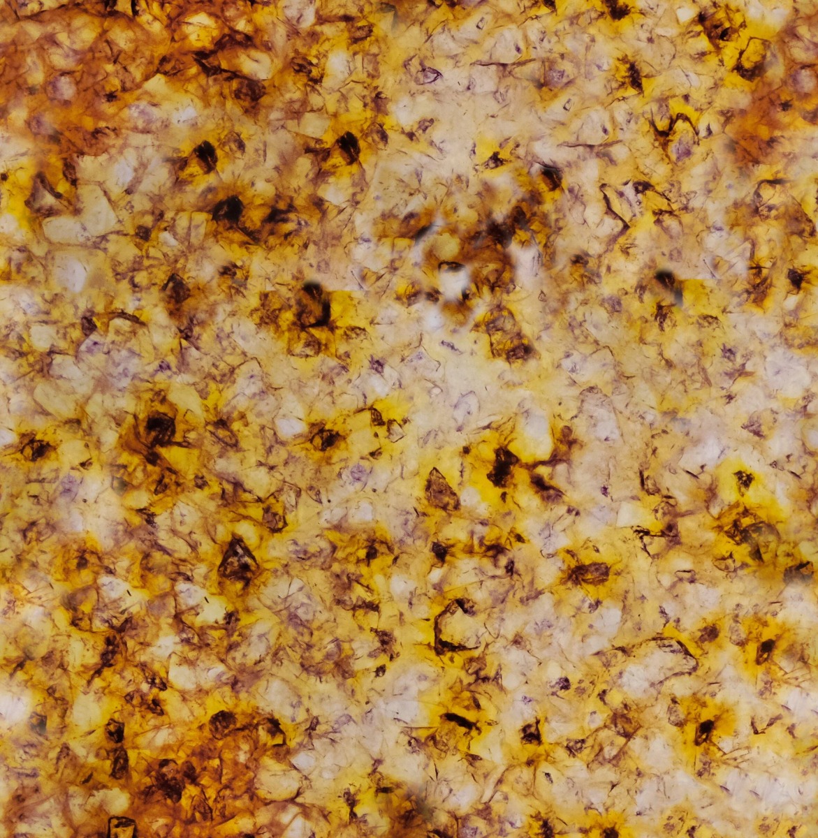 A seamless surfaces texture with remade brut - varied units arranged in a None pattern