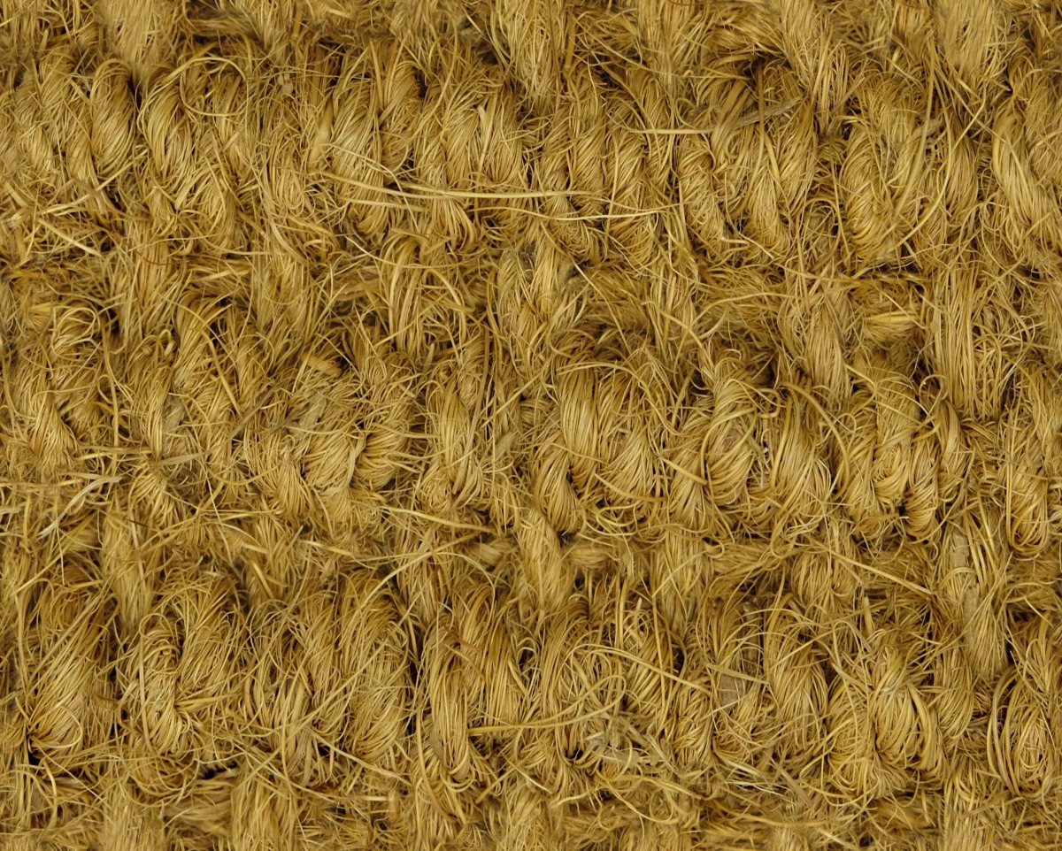 A seamless carpet texture with coir boucle - natural units arranged in a None pattern