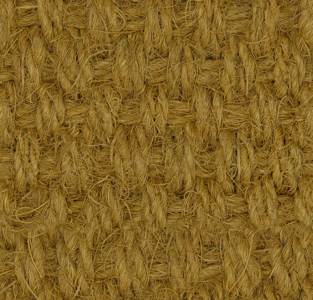 A seamless carpet texture with coir panama - natural units arranged in a None pattern