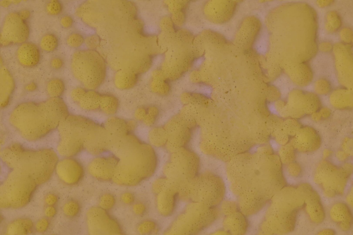 A seamless surfaces texture with cobalt blue mottle:  a22350 16" / a22349 mottle units arranged in a None pattern