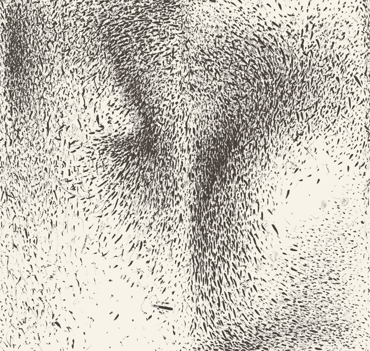 A seamless wallpaper texture with disorder in stasis passerine vinyl wallpaper units arranged in a None pattern