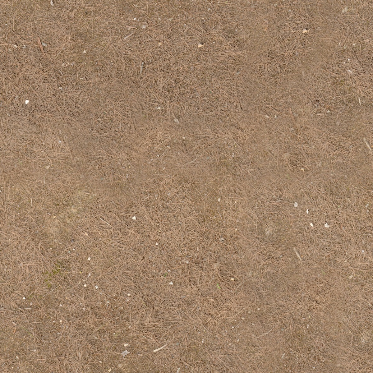 A seamless landscaping texture with forest ground units arranged in a None pattern