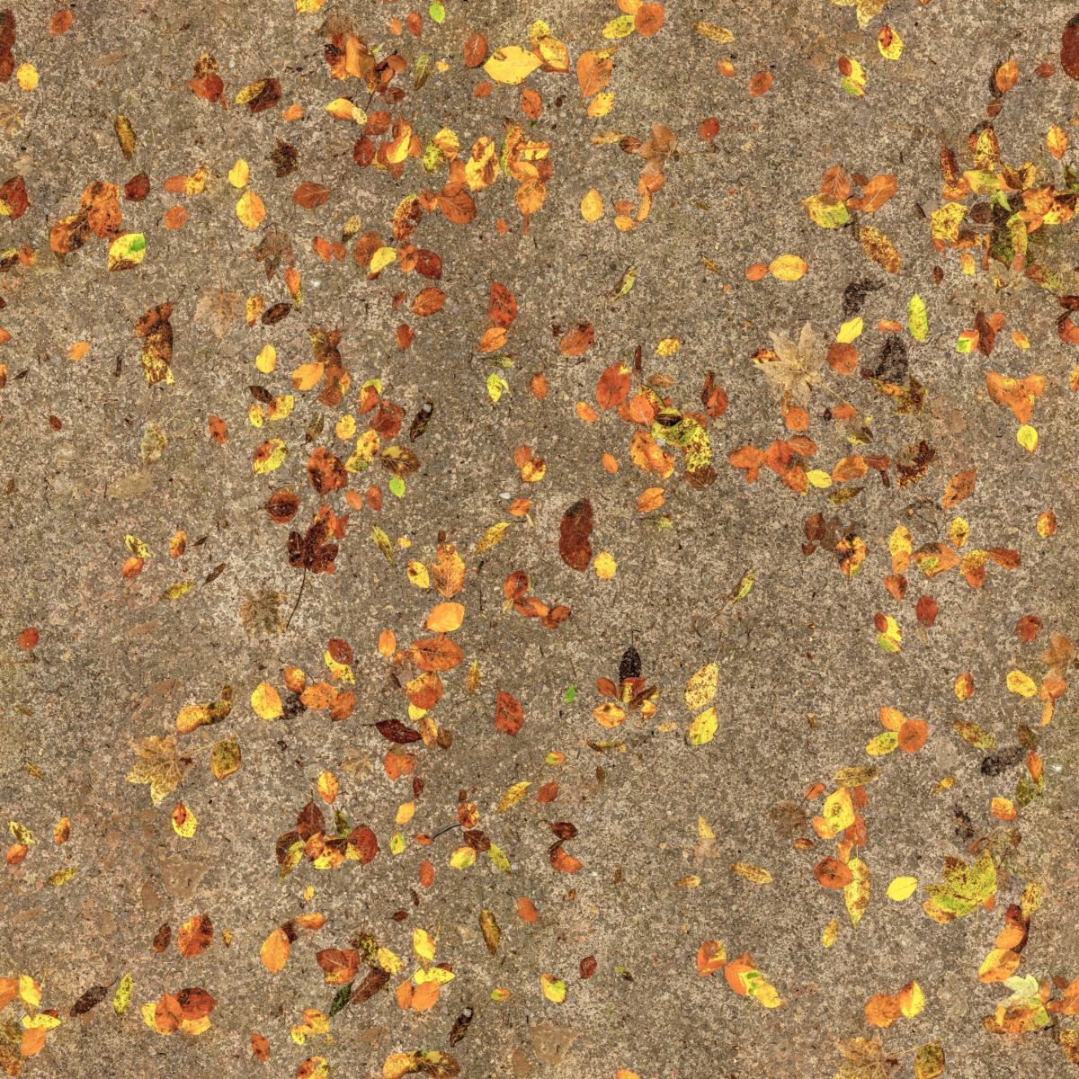 A seamless landscaping texture with forest ground units arranged in a None pattern