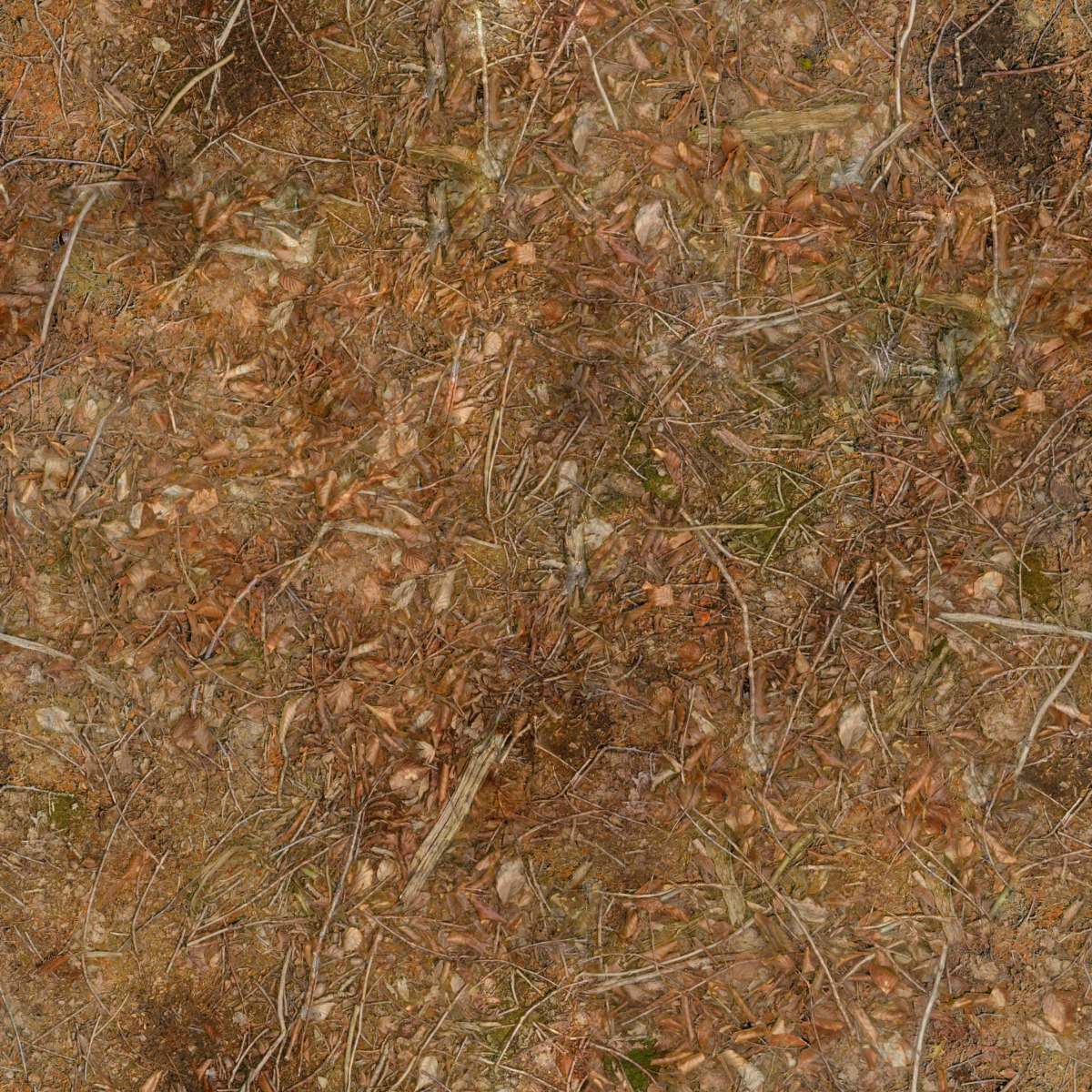 A seamless landscaping texture with forest leaves units arranged in a None pattern