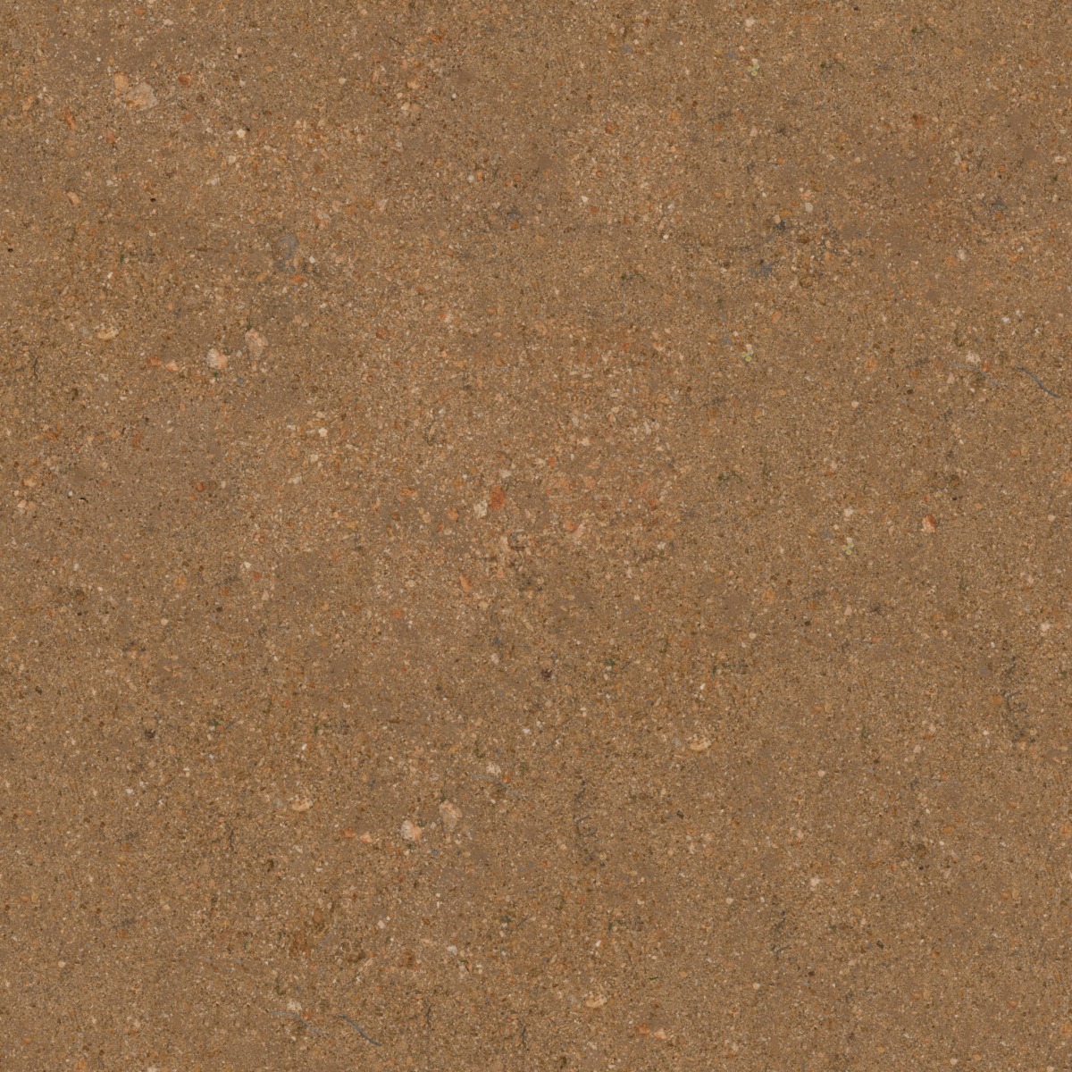 A seamless organic texture with gravelly sand units arranged in a None pattern