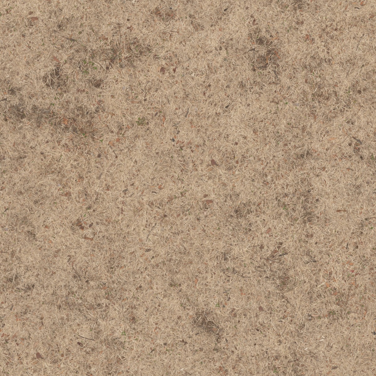 A seamless landscaping texture with withered grass units arranged in a None pattern