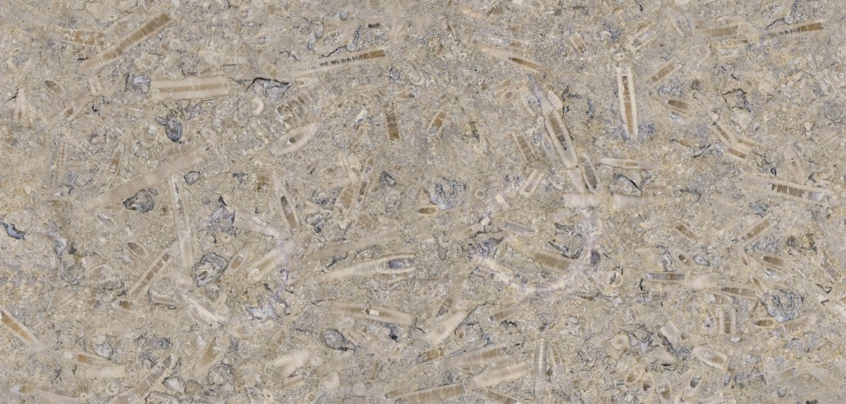 A seamless stone texture with swaledale fossil - limestone 1 blocks arranged in a None pattern