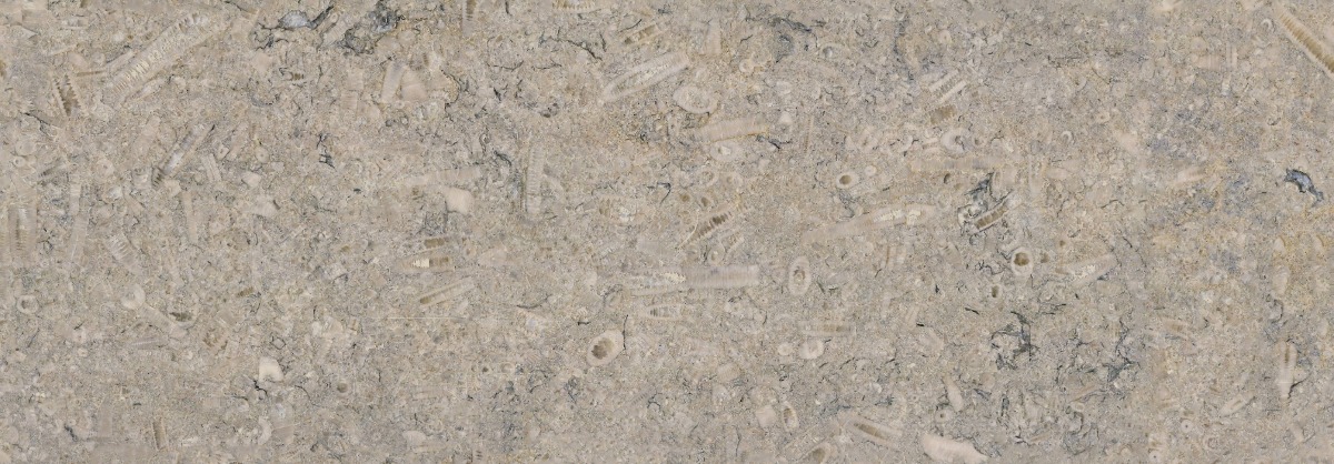 A seamless stone texture with swaledale fossil - limestone 2 blocks arranged in a None pattern