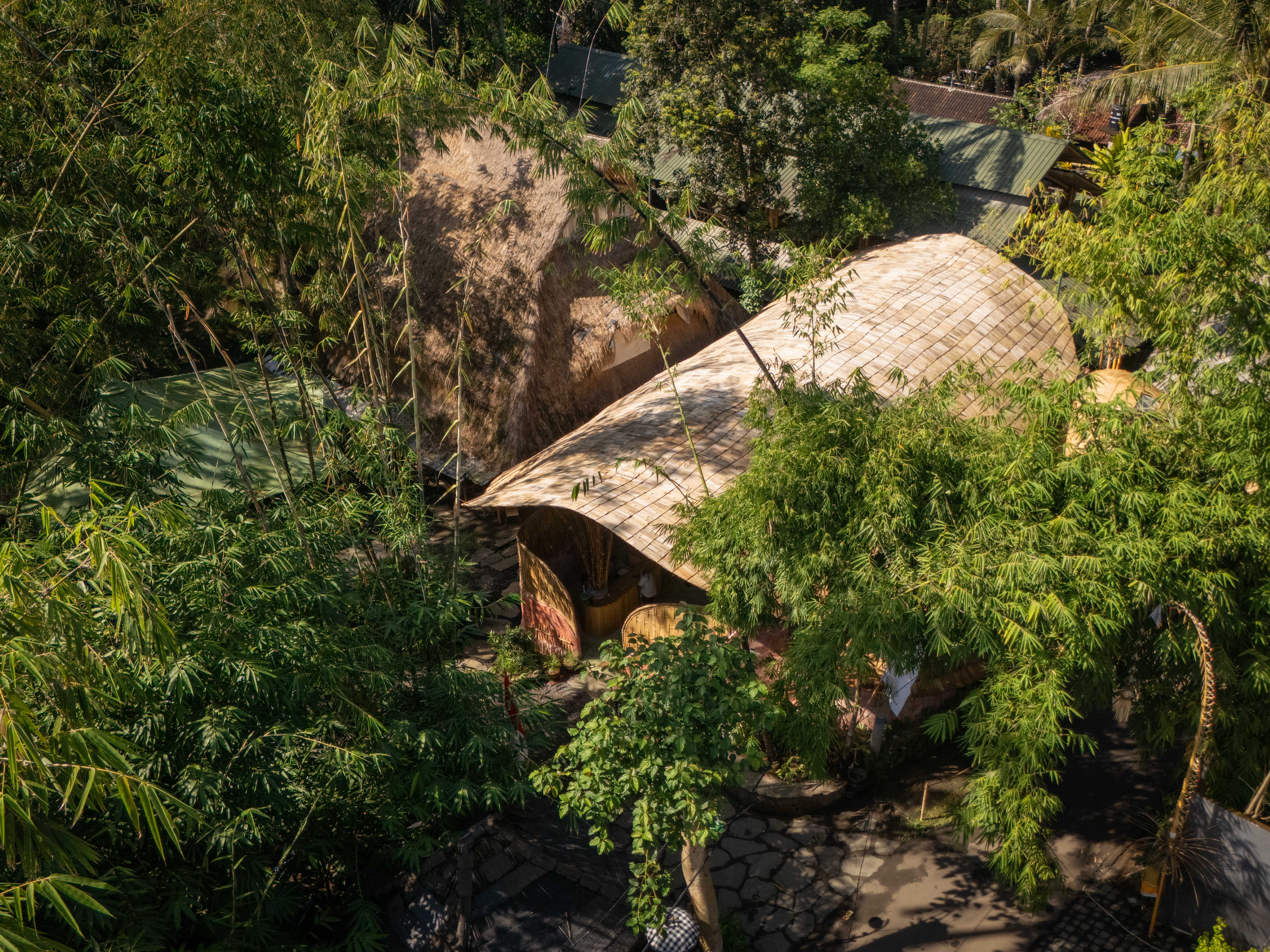 Bridging the gap: the Living Bridge, Bali thumbnail