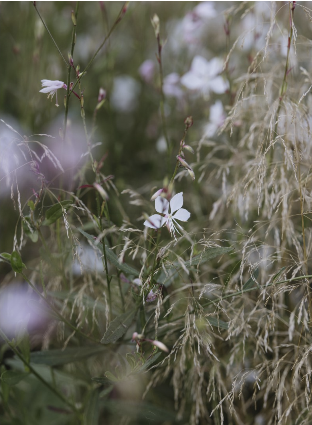 Screenshot 2026-01-14 at 15.59.00.png