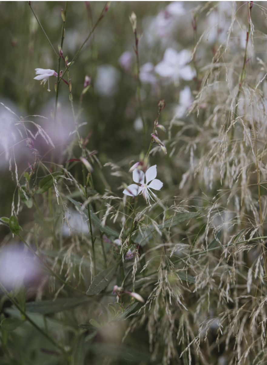 Screenshot 2026-01-14 at 15.59.00.png